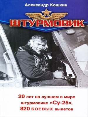 cover image of Штурмовик